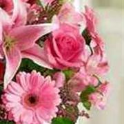 Valentines Florist Choice - Pink Rose