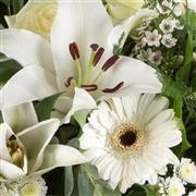 Flower Subscription Fortnightly 40 Pounds for 6 weeks