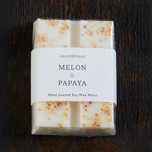 Janie Wilson Melon &amp; Papaya Wax Melt