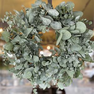 Eucalyptus Wreath 