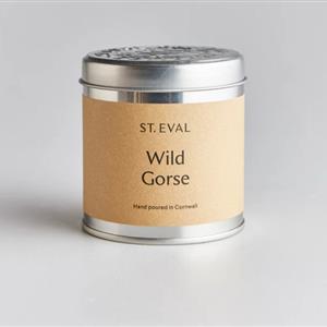 St Eval Wild Gorse Scented Tin Candle NATIONAL DELIVERY