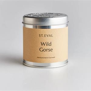 St Eval Wild Gorse Scented Tin Candle