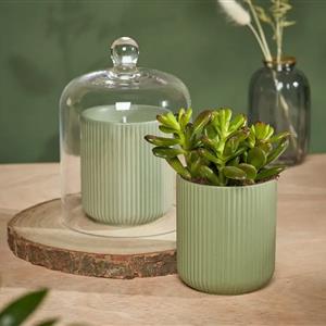 Urban Gardener Glass Cloche