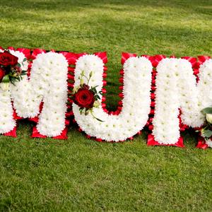 Based Letters in Red and White